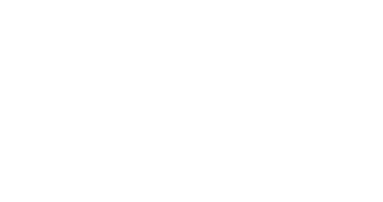 ZMM sponsor 6